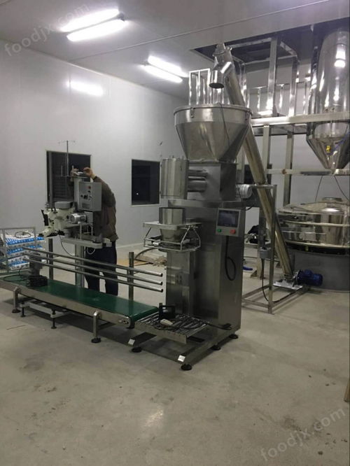 硅土粉25kg粉剂定量包装机工厂生产