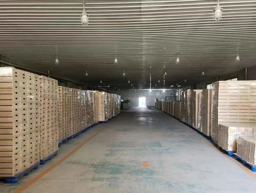 制造大省的外贸卖家 有人在亚马逊年收过亿,有人困在tob生意里