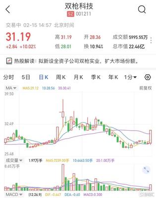 A股异动 | 双枪科技(001211.SZ)涨停 拟新设全资子公司双枪实业