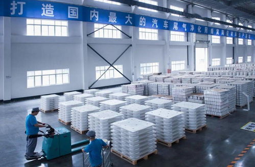 摄影师镜头里的dyetdz丨发展篇